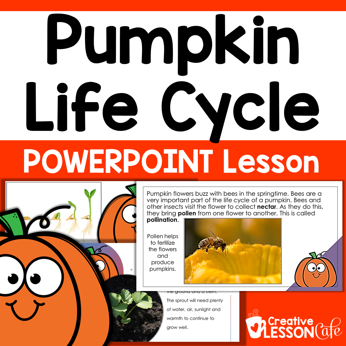 The Life Cycle of a Pumpkin PowerPoint Lesson